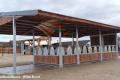 Pferdebox & Pferdestall bauen | Offenstall & 