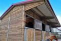 Pferdebox & Pferdestall und Offenstall | Unterstand -