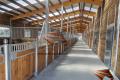 Pferdebox & Stallbau, Pferdestall, Offenstall | 