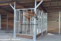 Pferdebox TOP Pferdestall & Stallbau, Offenstall - 