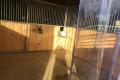 Pferdeboxe in Unteregg, Bischofszell zu vermieten