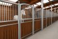 Pferdeboxen kaufen - Stallfronten für Pferdeställe 