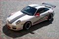 Pirelli PZERO Trofeo der Semi-Slick für Ihren Porsche GT3 RS