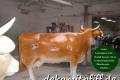 Produktion unserer hauseigenen Deko Kuh lebensgroß 