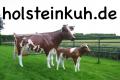 Red - Holstein - Friesian Deko Kuh mit Deko Kalb ...
