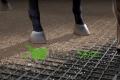 ReitPRO 40 Paddockplatten | MegaSpar Kiesgitter 