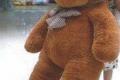 Riesen Teddy Bär Teddybär Plüsch XXXL Bär 300cm 