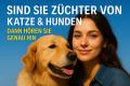 Sind Sie Züchter von Katzen oder Hunden? Dann hören Sie genau hin