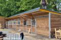 Stallbau & Pferdestall | Außenstall und Offenstall 