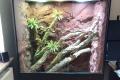 Terrarium 120x60x200 mit Glasfaser-Echtfelswand wie NEU!