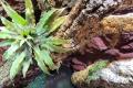 Terrarium 120x60x200 mit Glasfaser-Echtfelswand wie 