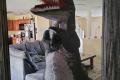 Velociraptor Kostüm Dinosaurier Airsuit Raptor 