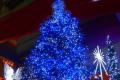 Weihnachten Lichtkette 2013 kaufen 10m 100LED blau