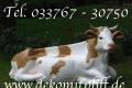 Wie ? Du Hast den Wunsch nach einer Garten Deko Kuh Bank …?