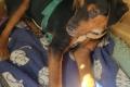 William, a.d.Tierschutz, sucht Happy-Home