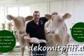 Wo kaufst Du Holstein - Friesian Deko Kuh lebensgroß