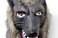 Wolf Maske Latex Wolfsmake Fasnacht Halloween Tier Maske