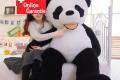 XXL Plüschtier Panda 200cm Stofftier Kuscheltier Bär Pandabär